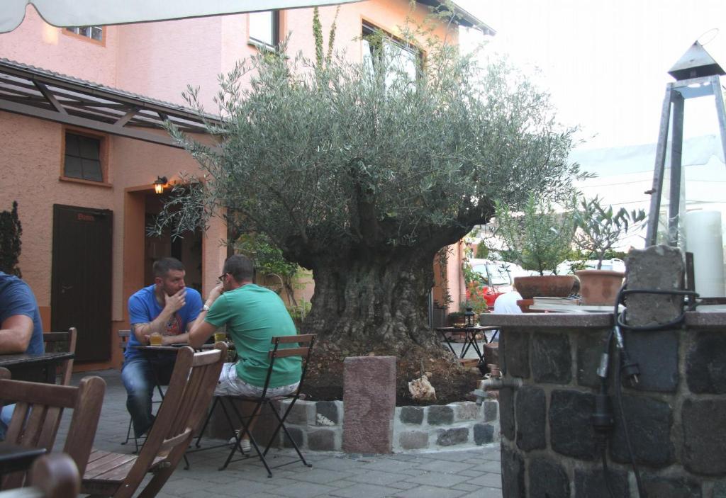 Hotel Gasthof Gruener Wald Hofheim am Taunus Εξωτερικό φωτογραφία